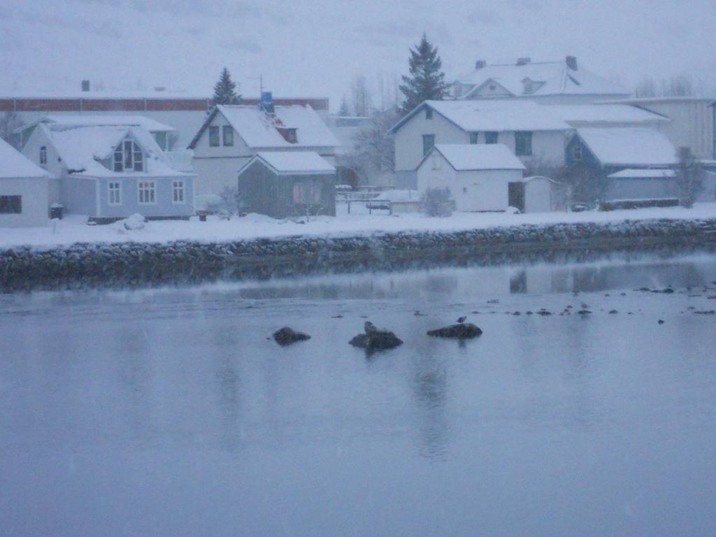The Old Apothecary Hotel Egilsstadir Exterior foto